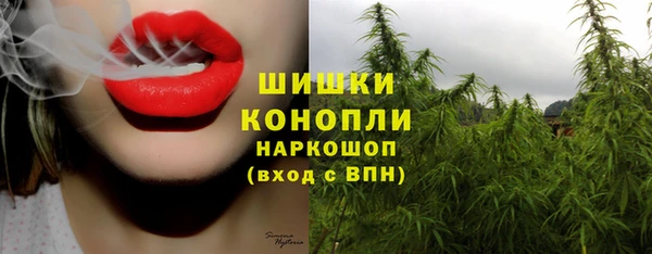шишки Армянск