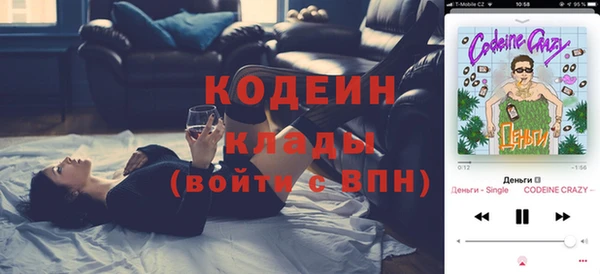 ПСИЛОЦИБИНОВЫЕ ГРИБЫ Арсеньев