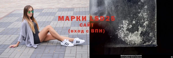 ПСИЛОЦИБИНОВЫЕ ГРИБЫ Арсеньев