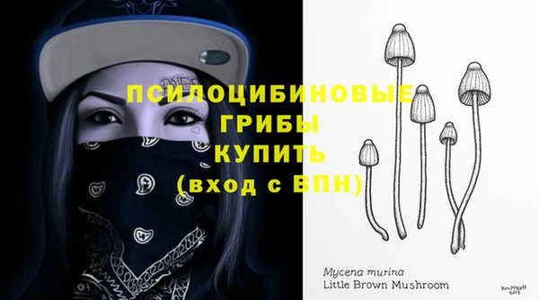 ПСИЛОЦИБИНОВЫЕ ГРИБЫ Арсеньев