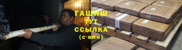 ПСИЛОЦИБИНОВЫЕ ГРИБЫ Арсеньев