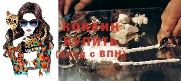 шишки Армянск