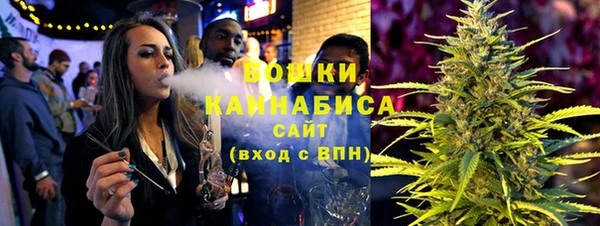 ПСИЛОЦИБИНОВЫЕ ГРИБЫ Арсеньев