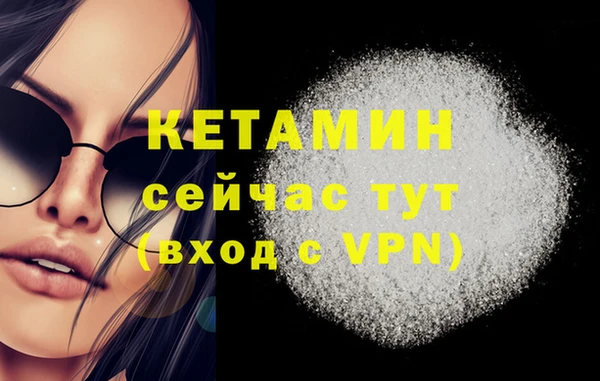 шишки Армянск