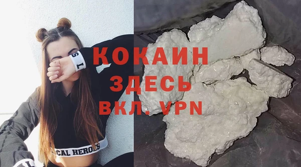 шишки Армянск