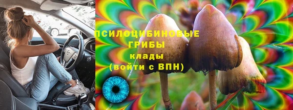 шишки Армянск