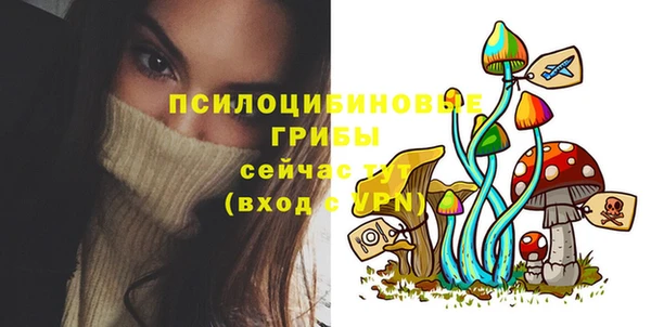 ПСИЛОЦИБИНОВЫЕ ГРИБЫ Арсеньев