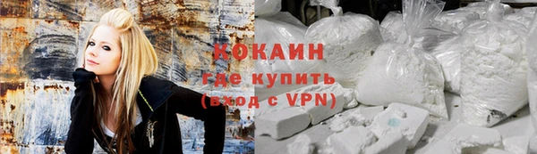 ПСИЛОЦИБИНОВЫЕ ГРИБЫ Арсеньев