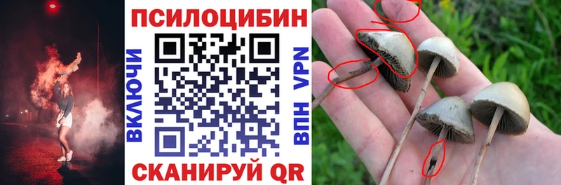 закладки  мега онион  Псилоцибиновые грибы Cubensis  Балашиха 