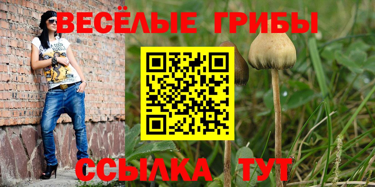 Балашиха  продажа наркотиков  Вход с VPN  Псилоцибиновые грибы мухоморы 